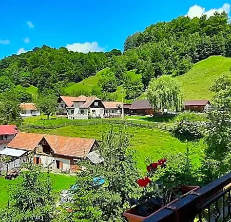 Pensiunea Montan Din Bran,sat Simon Indoor 3*
