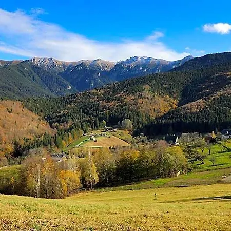 Pensiunea Montan Din Bran,sat Simon Indoor 3*