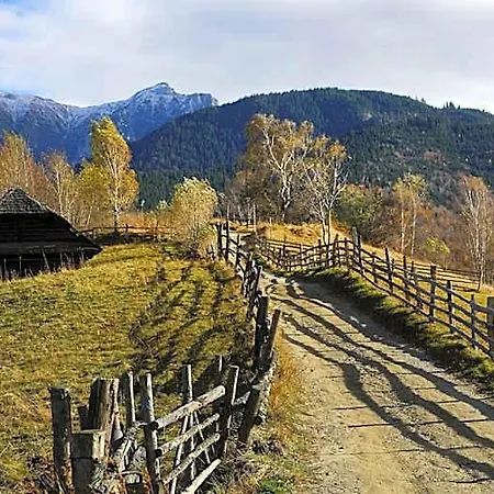 Pensiunea Montan Din Bran,sat Simon Indoor Отель 3*